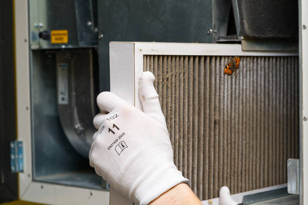 Best Air Duct Cleaning Near Me  in Dade City North, FL