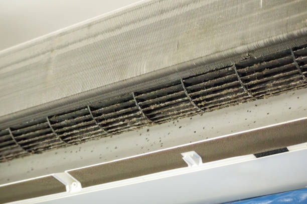 Best Best Air Duct Cleaning Company  in Dade City North, FL
