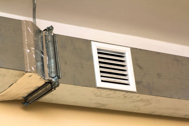 Best Affordable Duct Cleaning Services  in Dade City North, FL